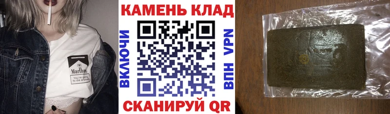 где купить наркотик  Жиздра  ГАШ индика сатива 