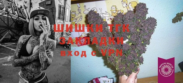 ECSTASY Алзамай