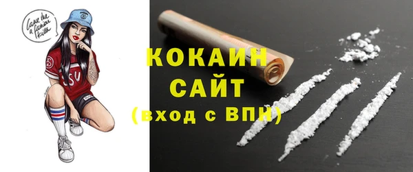 молекула духа Алексеевка