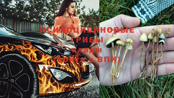 молекула духа Алексеевка