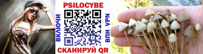 Псилоцибиновые грибы мухоморы  купить   Жиздра 