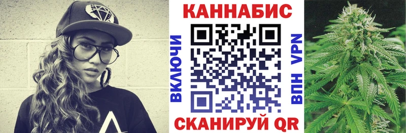 магазин продажи наркотиков  Жиздра  Бошки Шишки тримм 